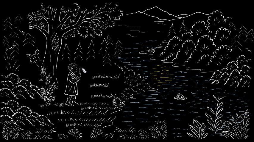Landscape Image